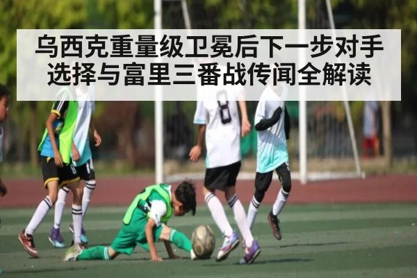 乌西克重量级卫冕后下一步对手选择与富里三番战传闻全解读